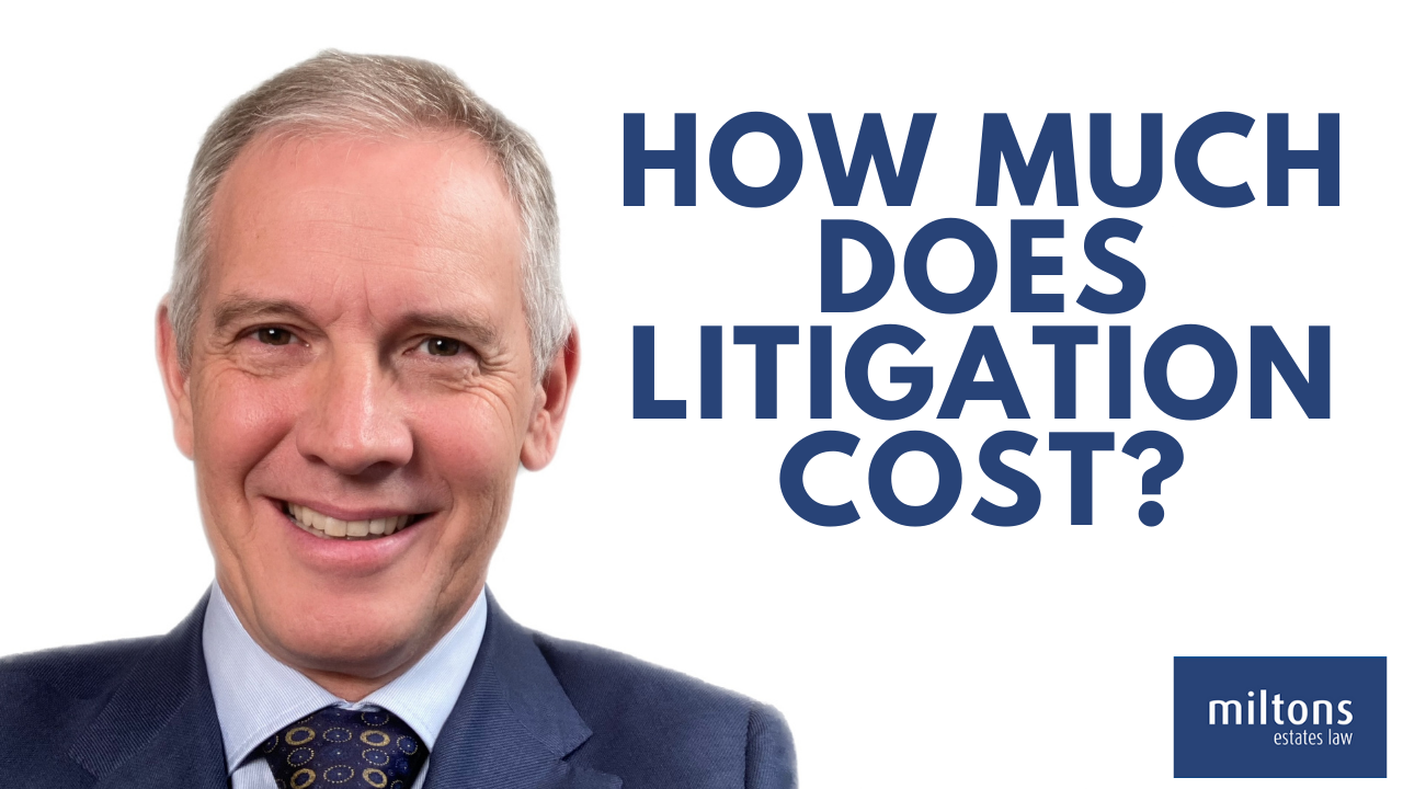How Much Does Litigation Cost?